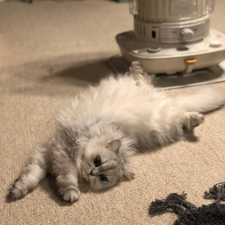 Efe5e121 899c 4049 82c7 4b132f0764a8 1580702339967