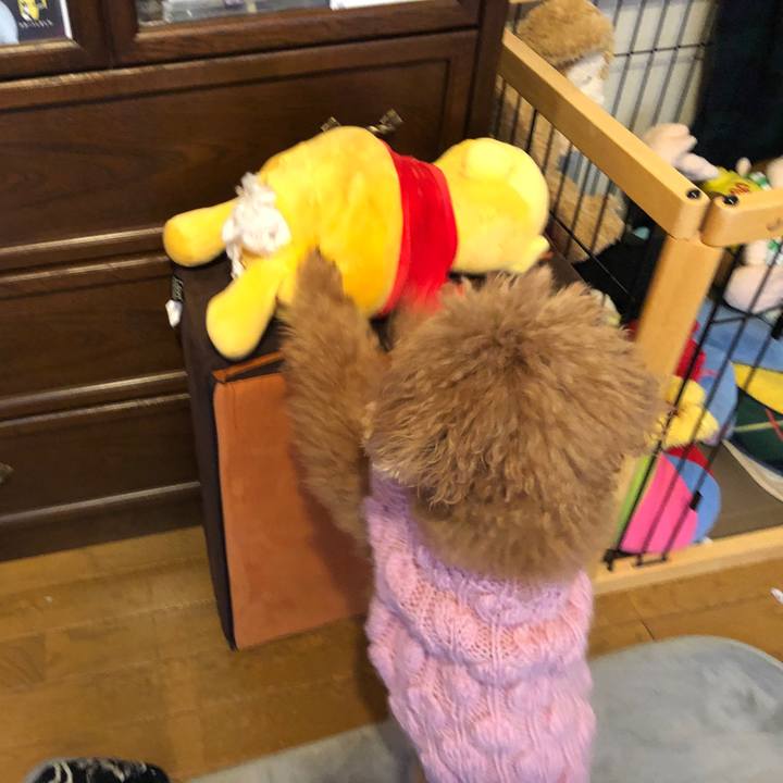 Efe62313 7e06 40db a71e ae5a3aa80ca4 1581832499648