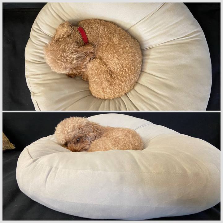 Efe65a0a ec55 4db6 9615 0fd7e56081db 1706465222545