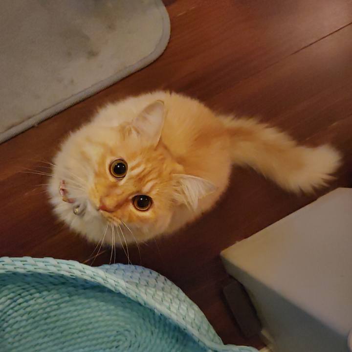 Efe6ab0b 4318 4107 8b1c c33005f7254c 1667772207737