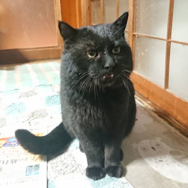 Efe6b609 2671 4d02 b316 8f506310ac69 1646997130728