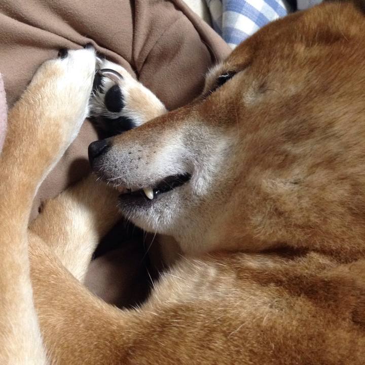 Efe6d054 3685 4ce0 a60f ce2ed8d04a08 1516412465768