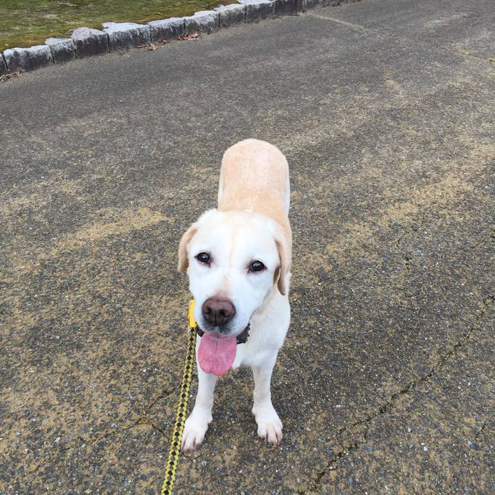 Efe6e893 32b5 4cc5 89ef d57e4c6b4cfb 1536017806485