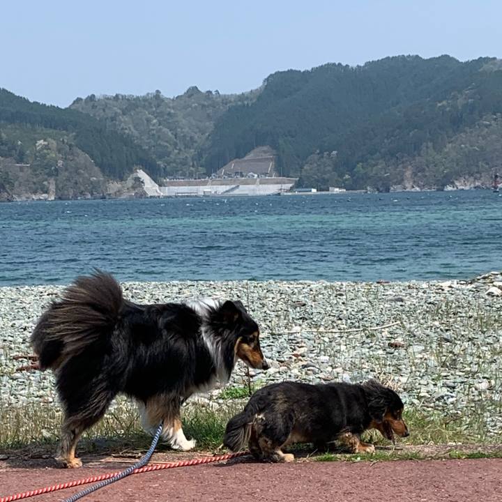 Efe72e9e 4d3f 4443 8fac 8ce9732b10e3 1588387187287