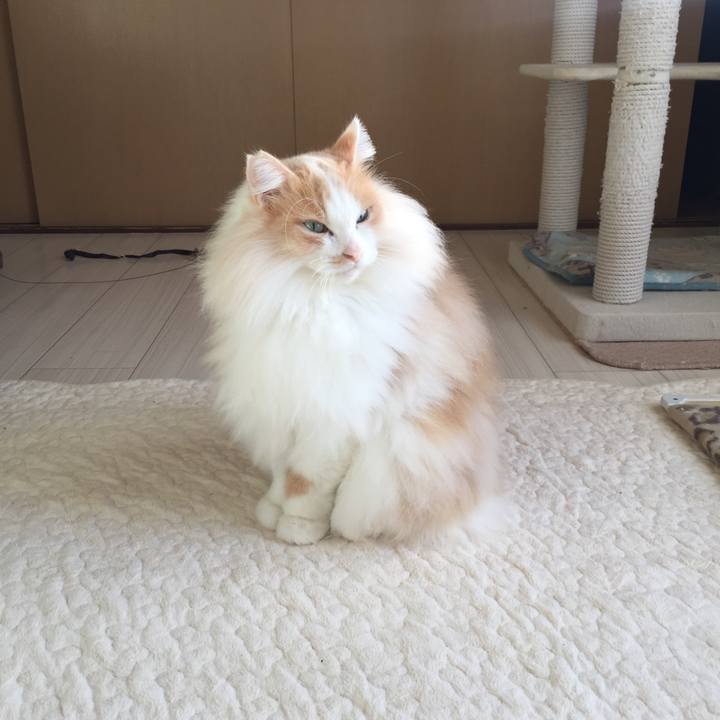 Efe73efd 94de 4892 a6d2 819ecde76ddd 1511904436521