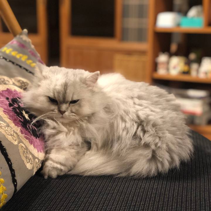 Efe74e01 628a 426f 80c9 da167c37a8e3 1579781199375