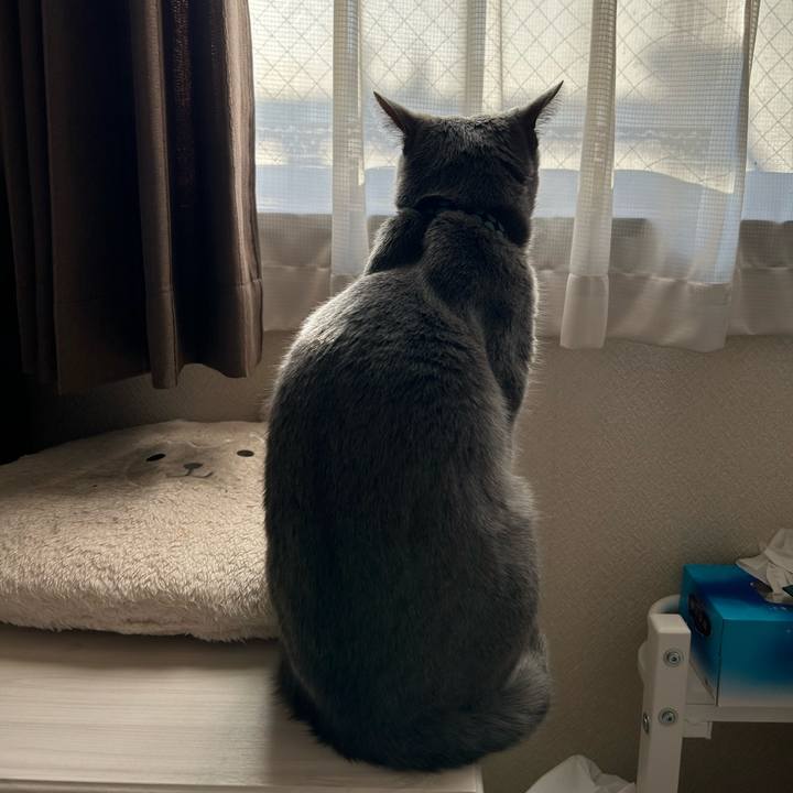 Efe750c2 98c5 4727 9d22 2605d76b850b 1706688500123