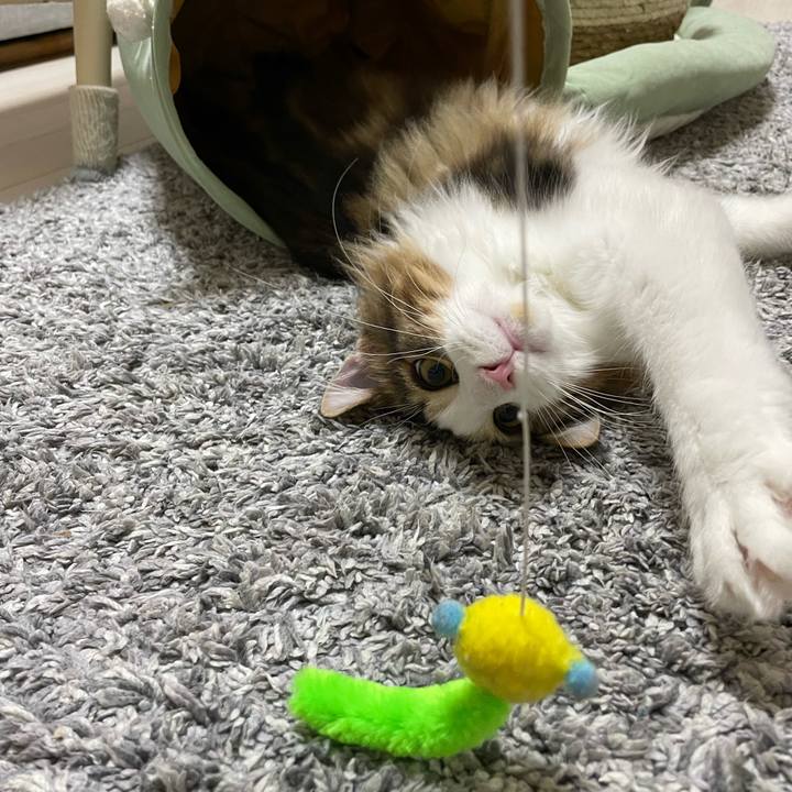 Efe79dee a278 471b b5a1 578c853ff41a 1637753077916