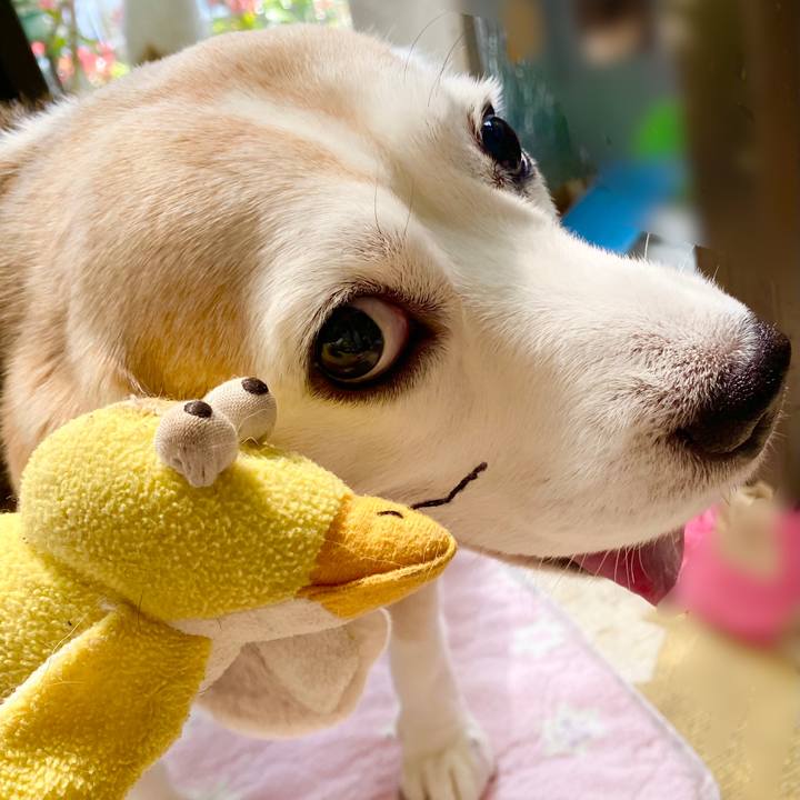 Efe7b688 a567 462c 93e8 607de849e19a 1649561228704