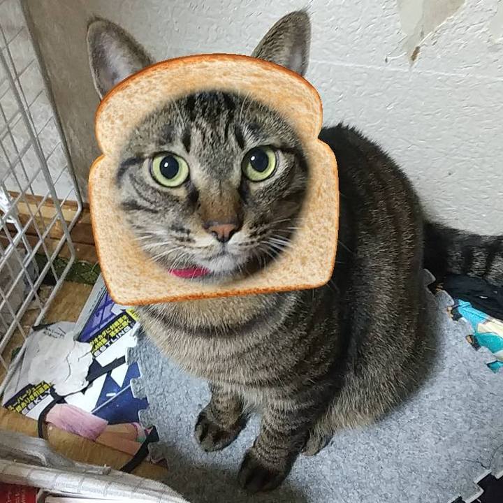 Efe7b924 f7ac 4128 af62 bea43d1bae28 1607864728701