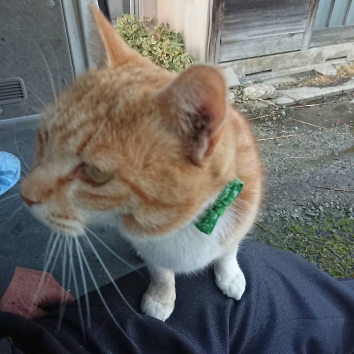 Efe7cfb5 d983 4cdc b6bb 9c5553409f2e 1585558783189