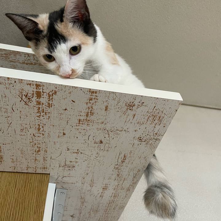 Efe7e31f 2bea 413b 9de5 c3369a7d12a2 1663893586583