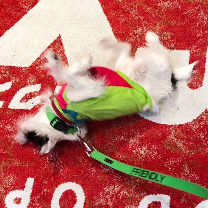 Efe7fe70 eac4 4e3f 897e 95bbbeb1158c 1508565534997