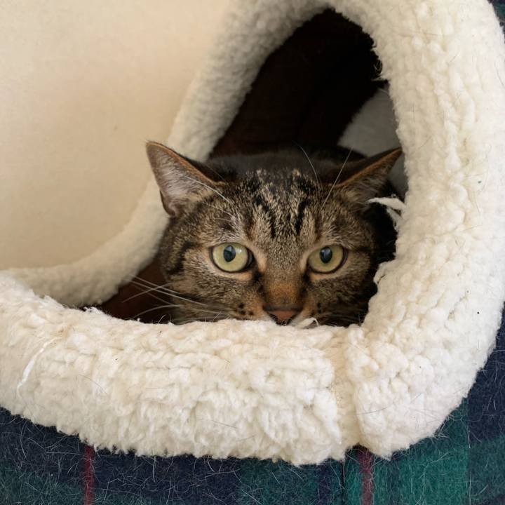 Efe8307e ef4d 4a51 8818 f1f6b8173d6c 1550802099993