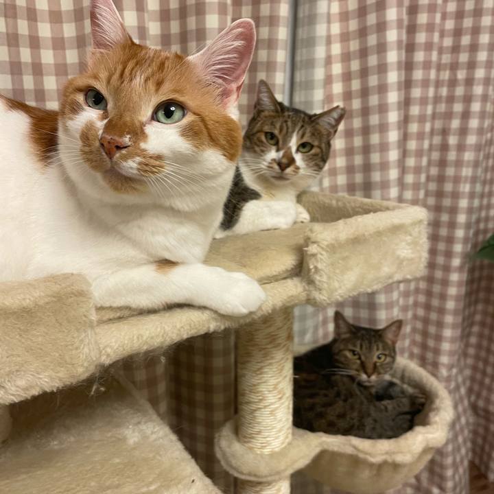 Efe8325e e838 4259 adc6 f51e24ff982f 1731149516798