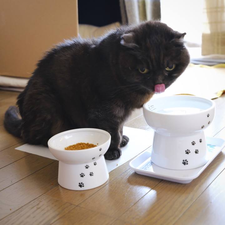 Efe84254 ecc2 4cd0 8c82 269b97cf9e10 1646016921145