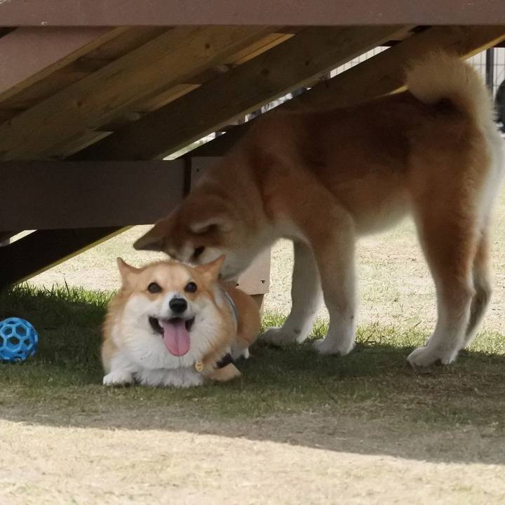 Efe89fd2 1c20 4d8c 95a2 54050c972491 1528454376294