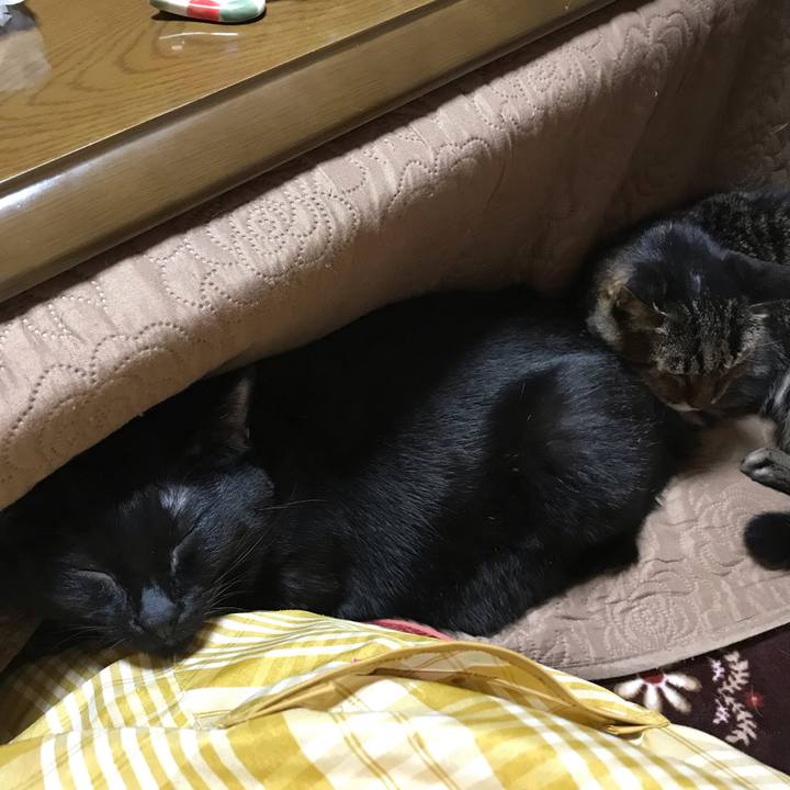 Efe8c0b8 a916 4a6e bbb9 306a9c820cef 1547550878042