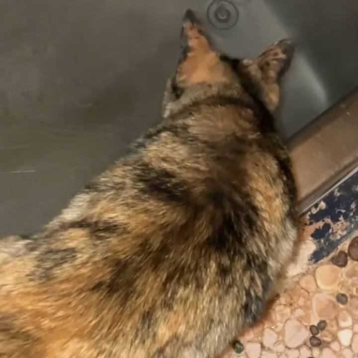 Efe8c613 f551 4da0 9194 8bbd30fa2fad 1740688921599