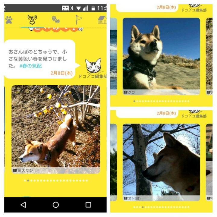 Efe8d4b0 4f18 4c8c b6a0 f54a43fa2453 1518094631209