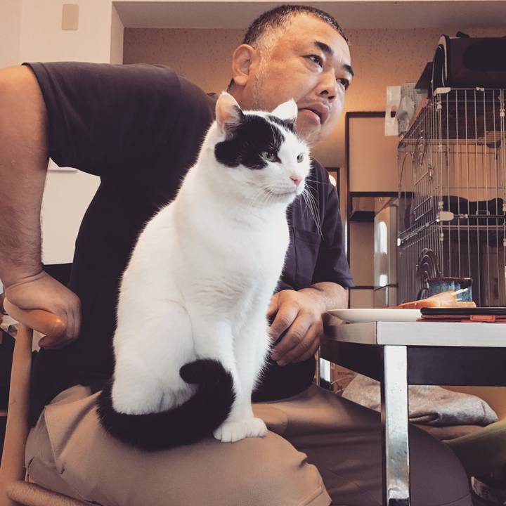 Efe8e020 f869 4eb5 8218 5fb3d9b8797e 1580000133753