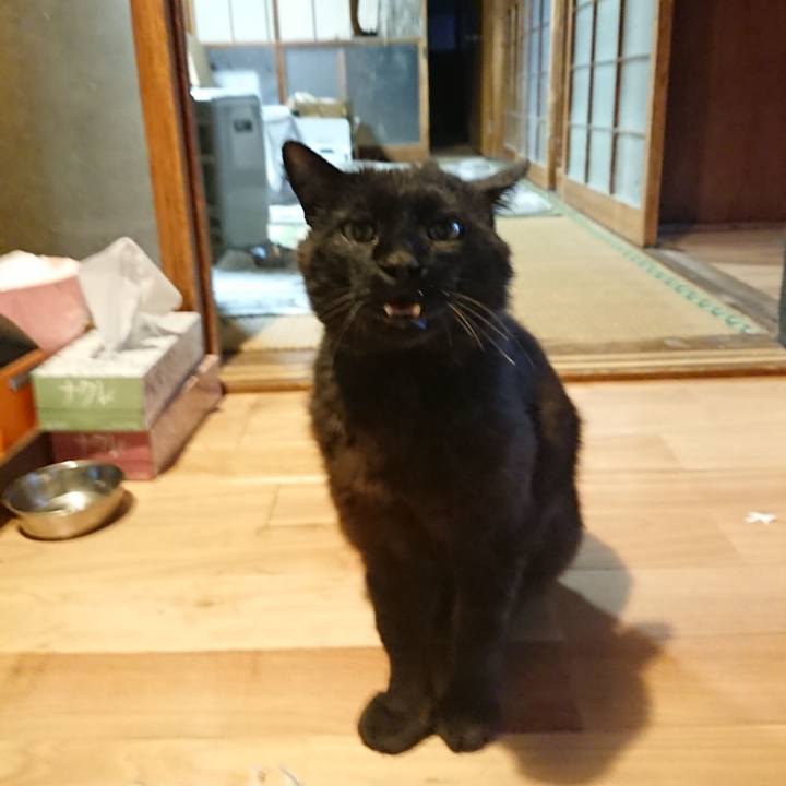 Efe8f828 7fb3 40e4 9400 286fdd203c35 1622801347606