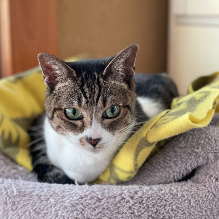 Efe906f4 4dec 4e96 852f 646b72cb83a8 1639361819664