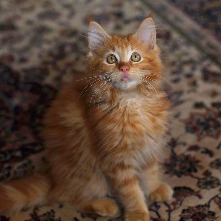 Efe90bce 5b7a 47a4 b952 f21255d2b096 1515767714635