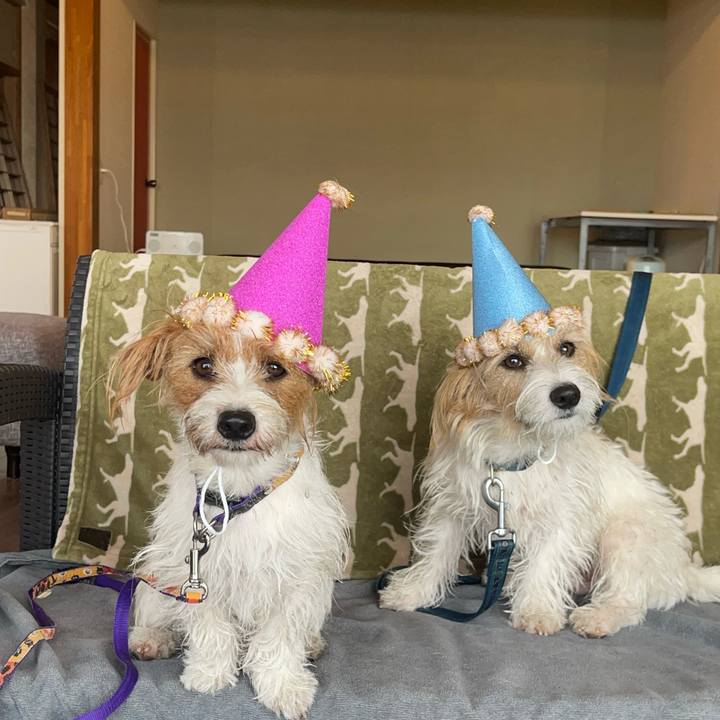 Efe91d9e 8dda 414f 8661 7a092f1118a4 1762123316809