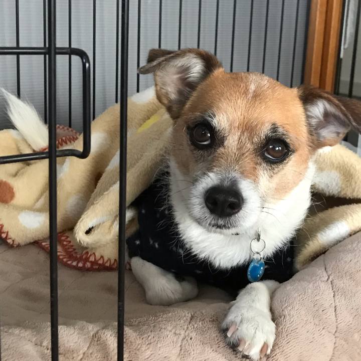 Efe9b607 c88b 4f87 b1b9 dcf29ba4d765 1553727990346