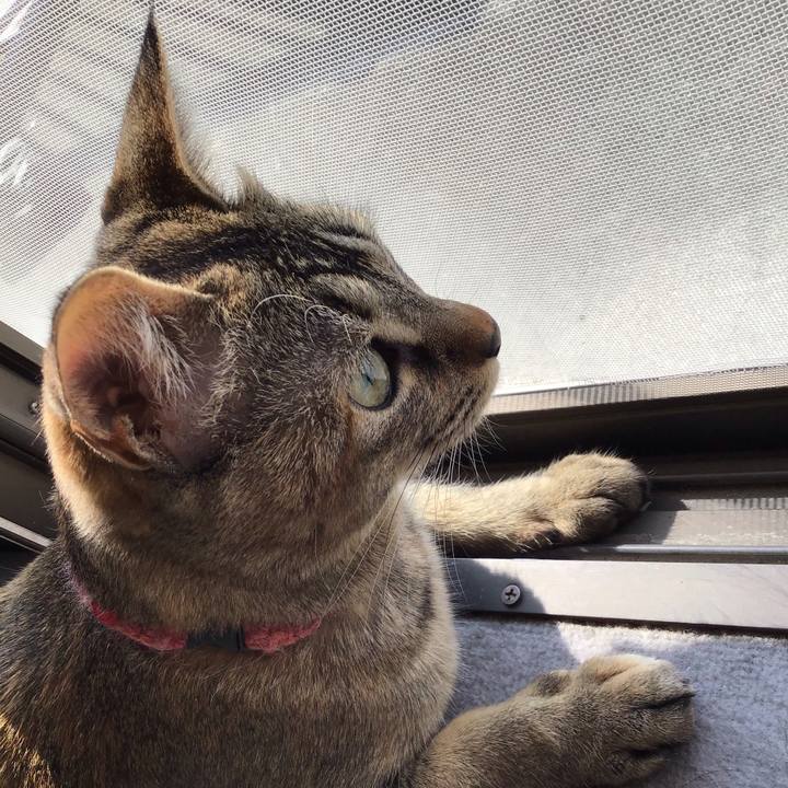 Efe9b705 8a6c 4401 82ac 9becac622f1f 1585958936349