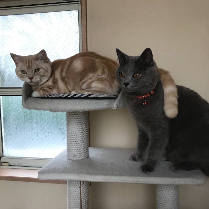 Efe9c8df 12d3 44ff a521 c0fb0ef5e5e2 1536652090239