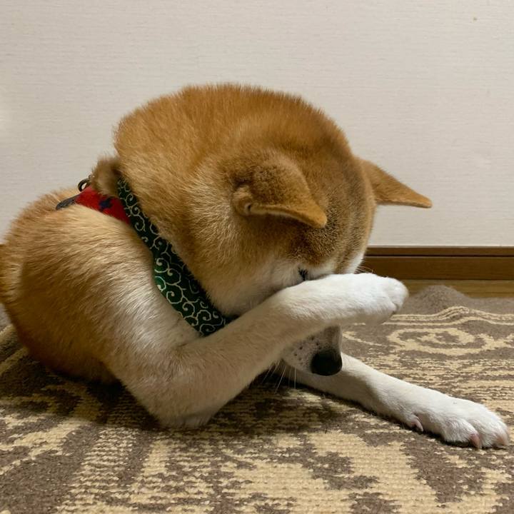 Efea037f 7706 4d88 929d 7e6d9b6fe47f 1676019217947