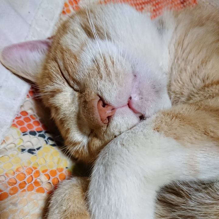 Efea4747 2797 47e5 9706 8aac23f1c2a9 1581425192252