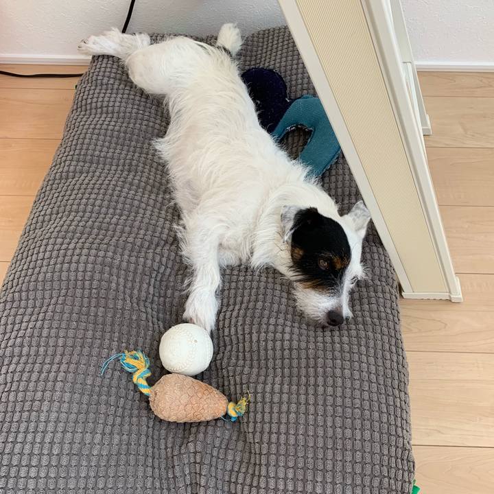 Efea6e84 9e7e 41de 83ea f754c1190bdd 1565321832720