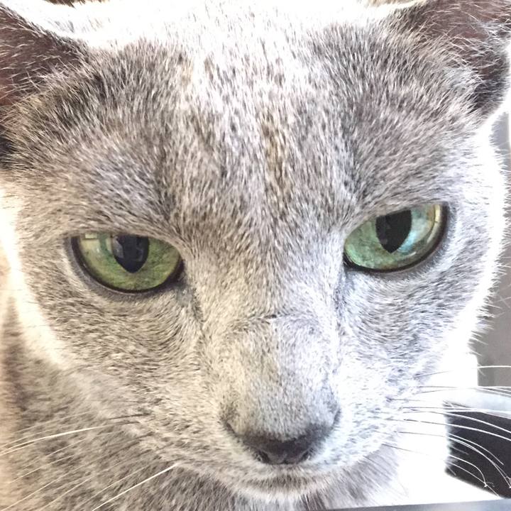 Efea9940 b544 4ed8 83f1 f84fed765e4f 1511321711745