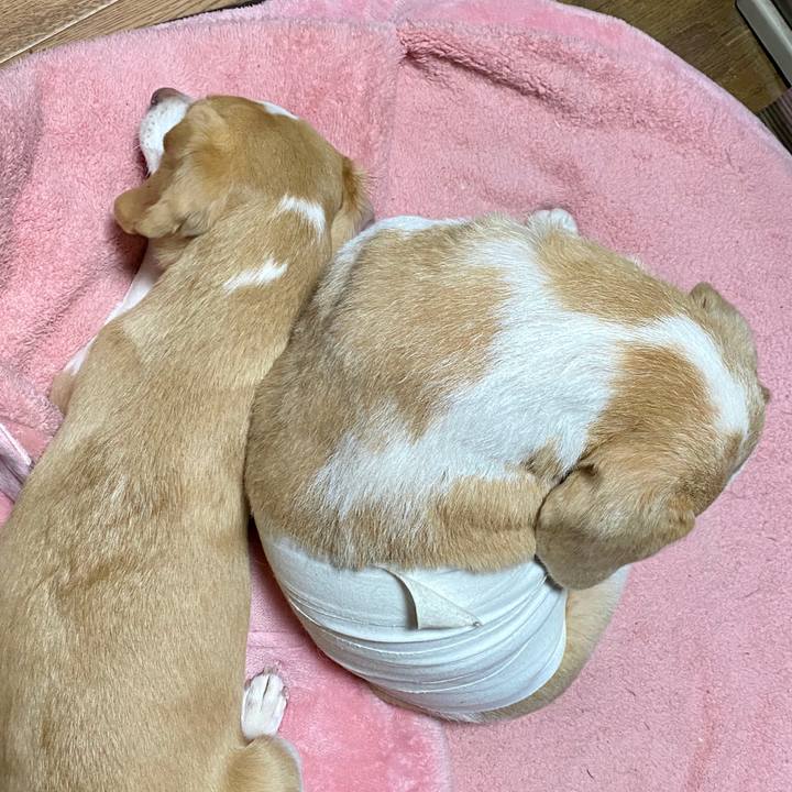 Efeab0e0 6022 4cc2 8ffa d00fd0bedd9d 1584013098999