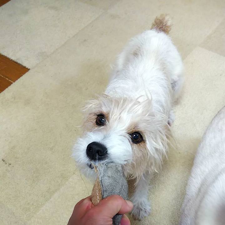 Efead8a3 2abf 4886 ae73 2fa81927927a 1560291093936