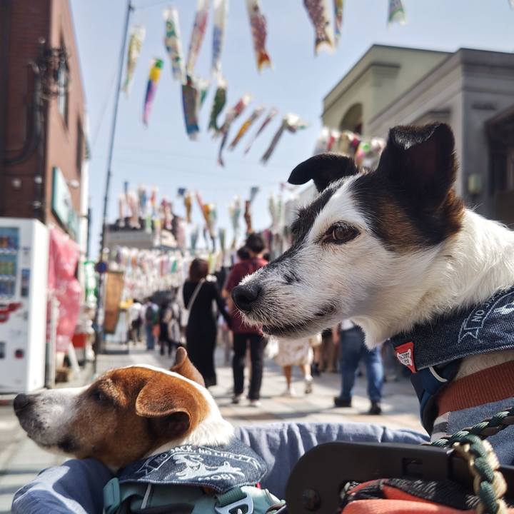 Efeafe1e fec7 4dc2 ab39 78a114b84315 1746264677060