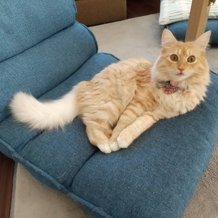 Efeb0752 07d4 4e59 92a1 ff42722c3f2e 1632101241605