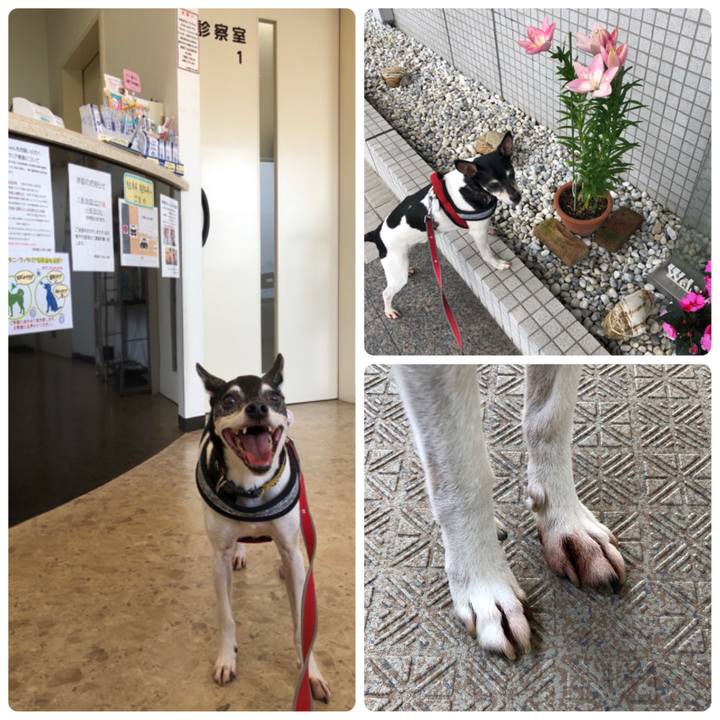 Efeb17a1 4939 4f50 b114 eb5018fa4f3a 1560042515716