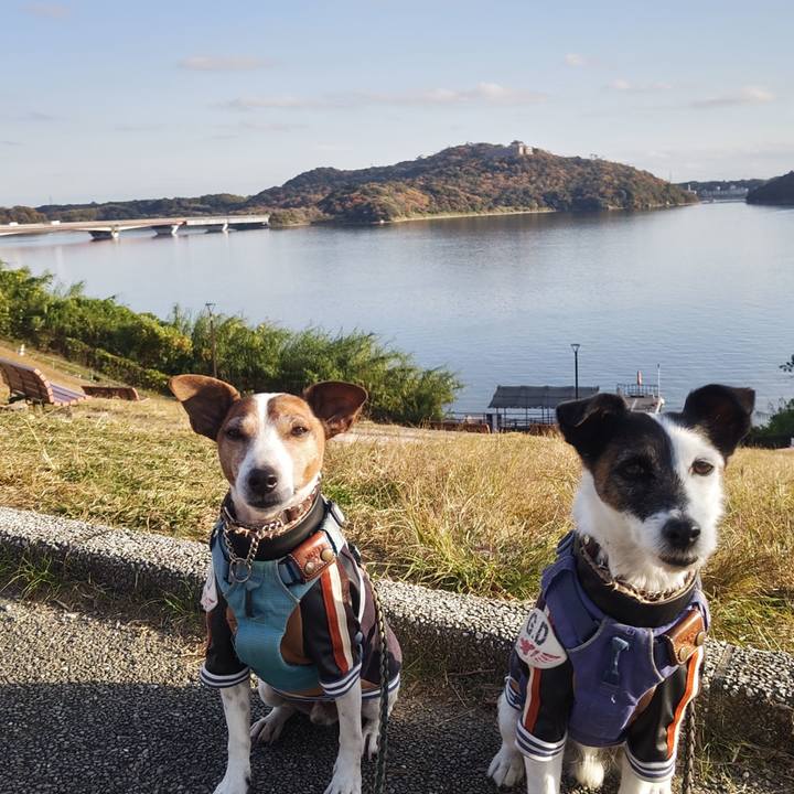 Efeb5f9c d80b 4735 9622 5e34350e80fc 1765611190089