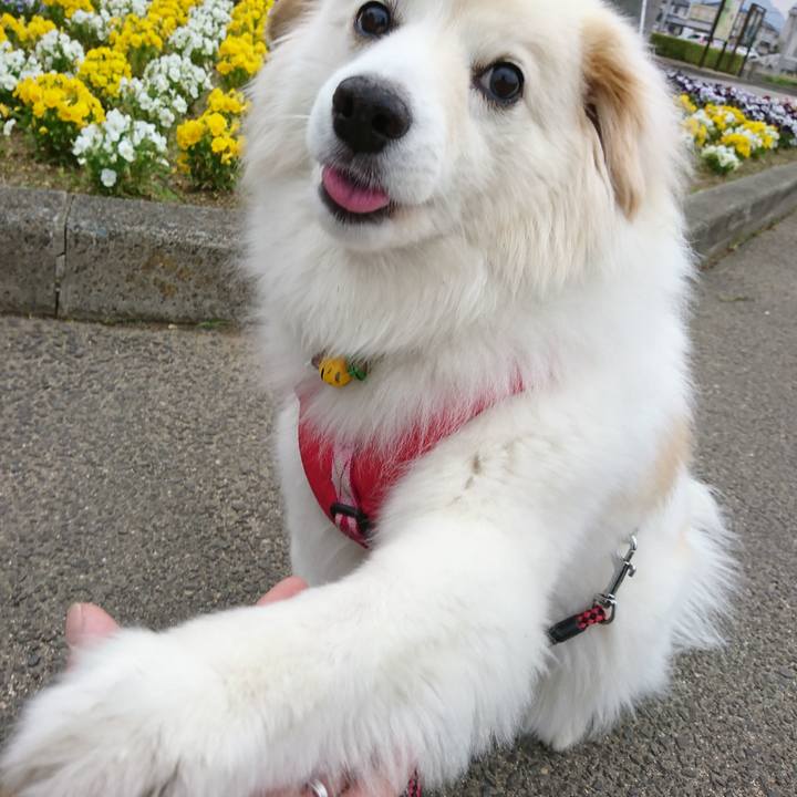 Efeb6924 c8b5 46e9 a88a 837ff6ed411c 1528238403564