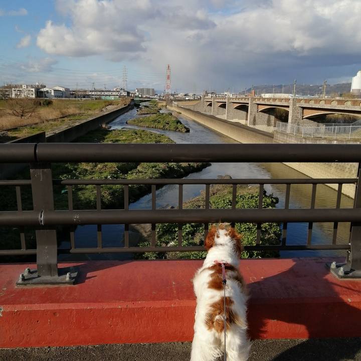 Efeb7ac2 8e69 40eb bd37 76a403d57af4 1582803988630