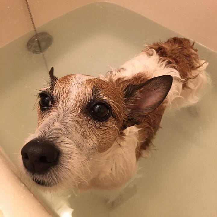 Efeb7b6e 0ca2 413d 8877 4540cfc77053 1588466632549