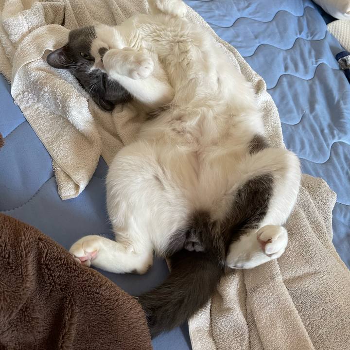 Efeb7f2c 67b8 4c24 aca0 6ed31ae836d0 1658470022416