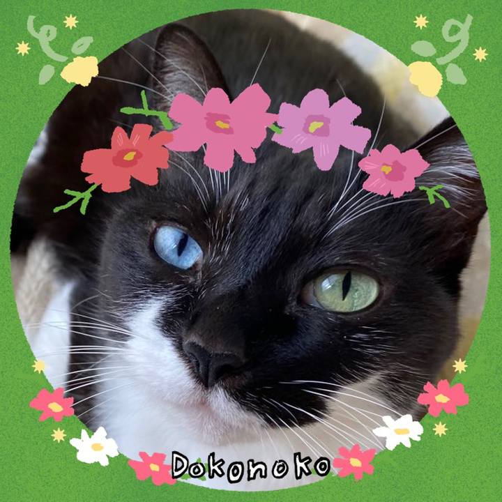 Efeb93c0 3abf 46ac a366 14ce3fb32909 1727240363554