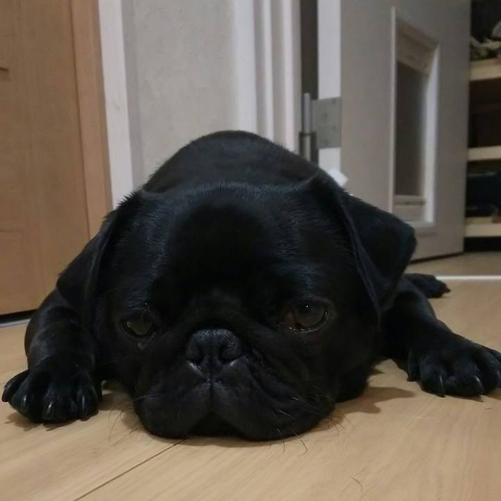 Efeba1a5 2a60 4308 996a 66d6cb0c83f8 1529669275826