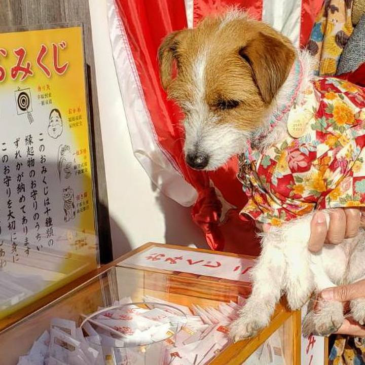 Efebad4f 60a0 47d1 a136 7d1ffa23bb05 1577931815998