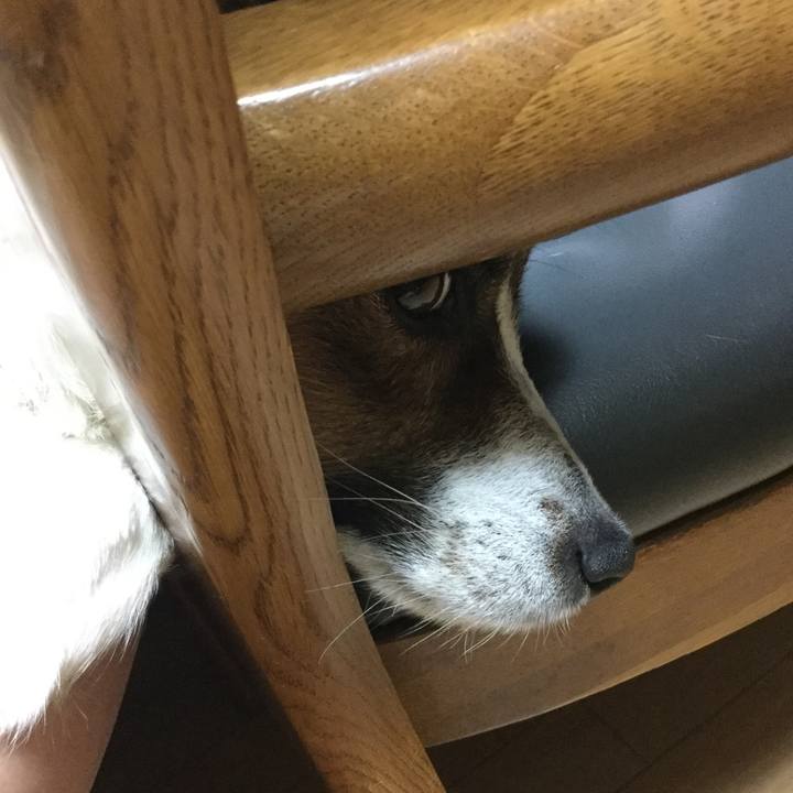 Efebd9b6 8531 4514 b78f c5d78a2887e2 1527159097358